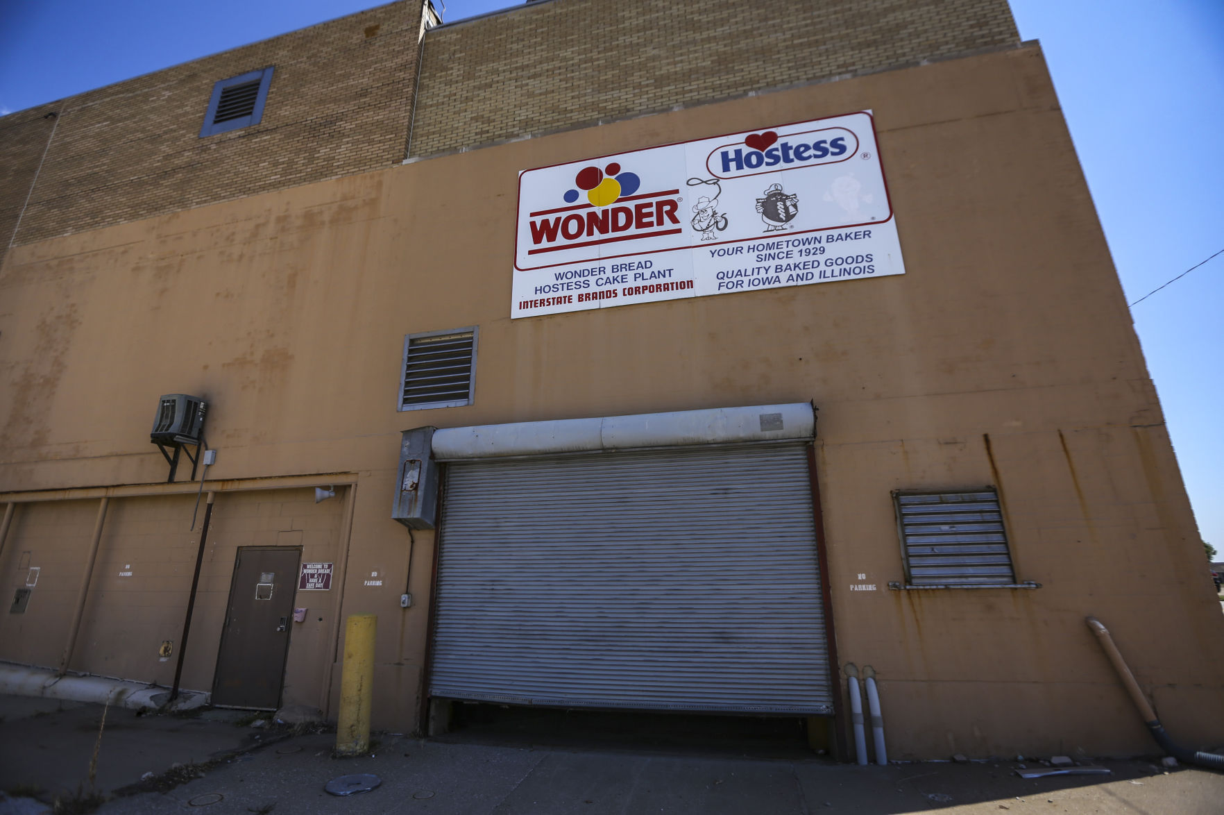 Hostess plant
